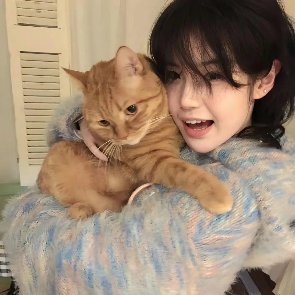 梅与小猫巴士